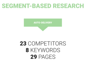 segment based marketing research and SEO